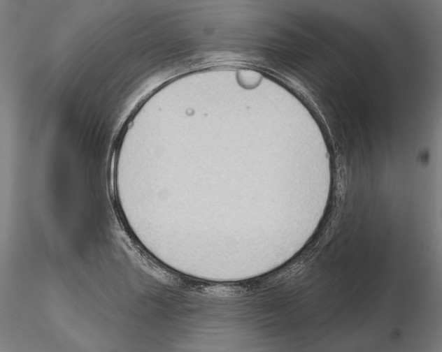 X0000114631227200912011017