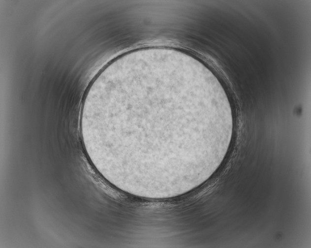 X0000114631228200912011017