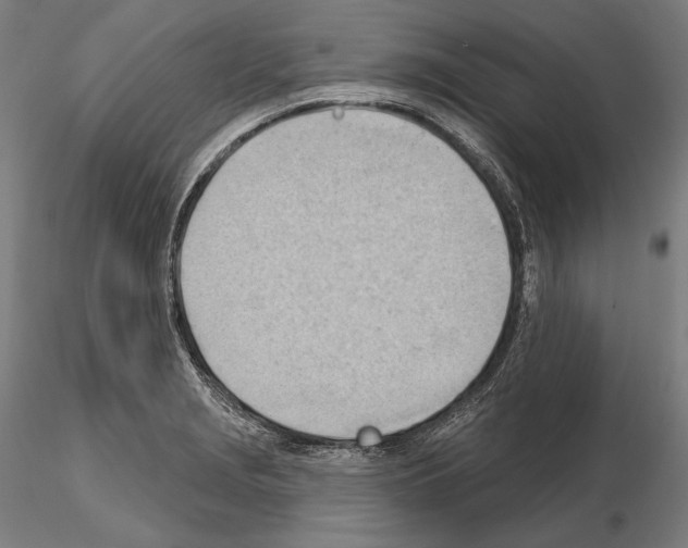 X0000114631229200912011017