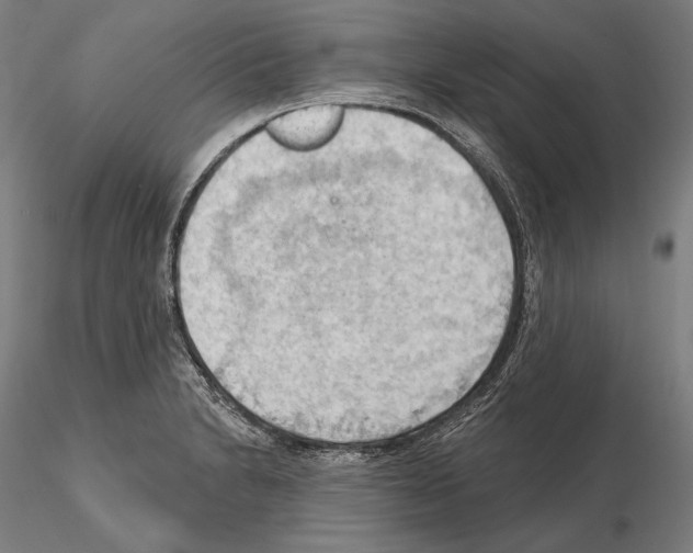 X0000114631230200912011017