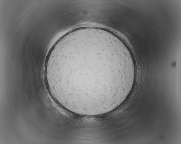 X0000114631231200912011017