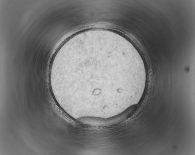 X0000114631232200912011017