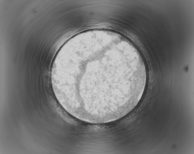 X0000114631234200912011017