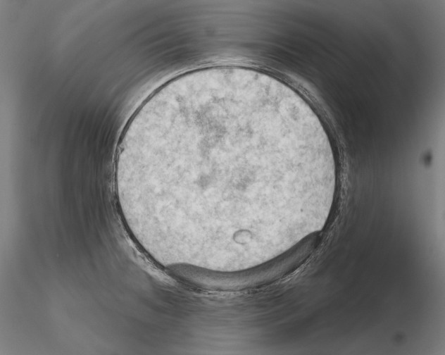 X0000114631236200912011017