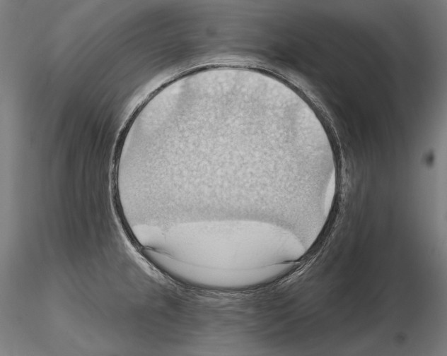 X0000114631237200912011017