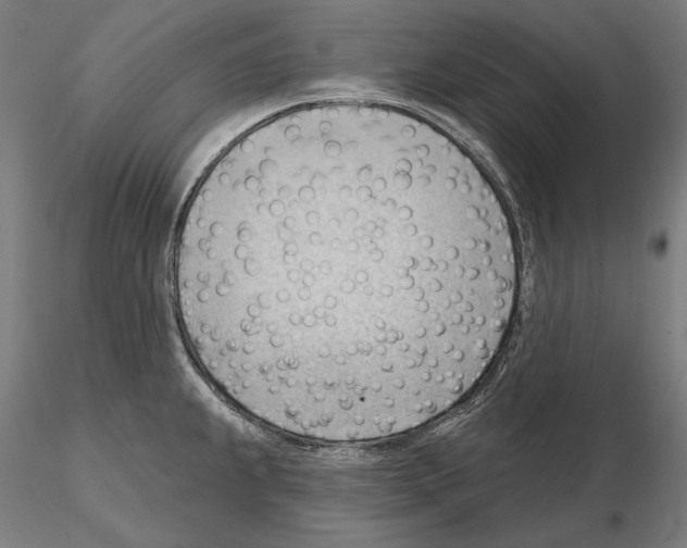 X0000114631239200912011017