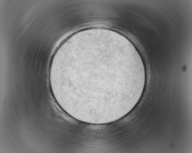 X0000114631240200912011017