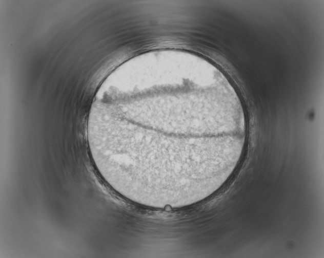 X0000114631241200912011017