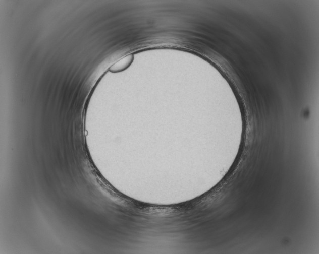 X0000114631242200912011017