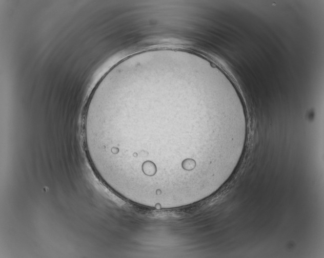 X0000114631243200912011017