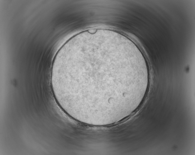 X0000114631244200912011017