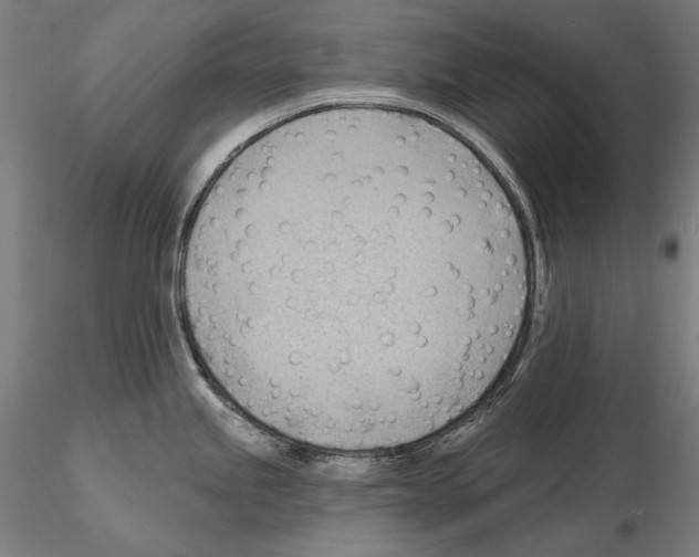 X0000114631245200912011017