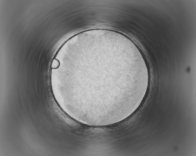 X0000114631246200912011017