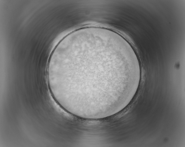 X0000114631247200912011017