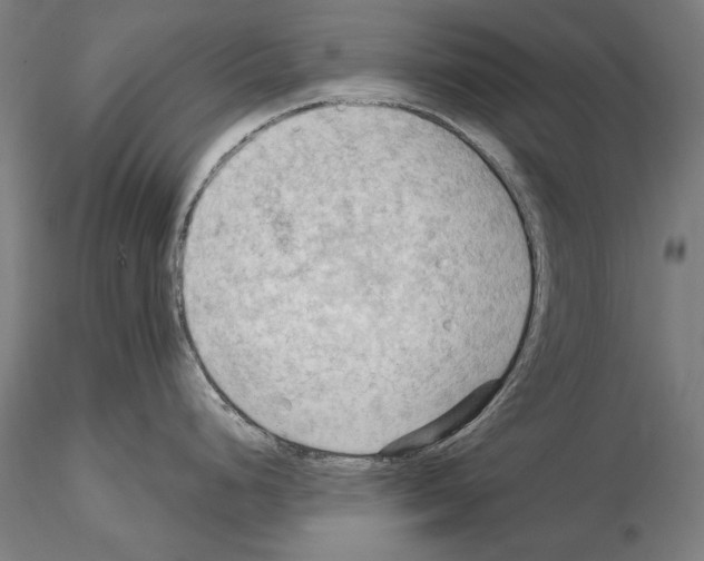 X0000114631248200912011017