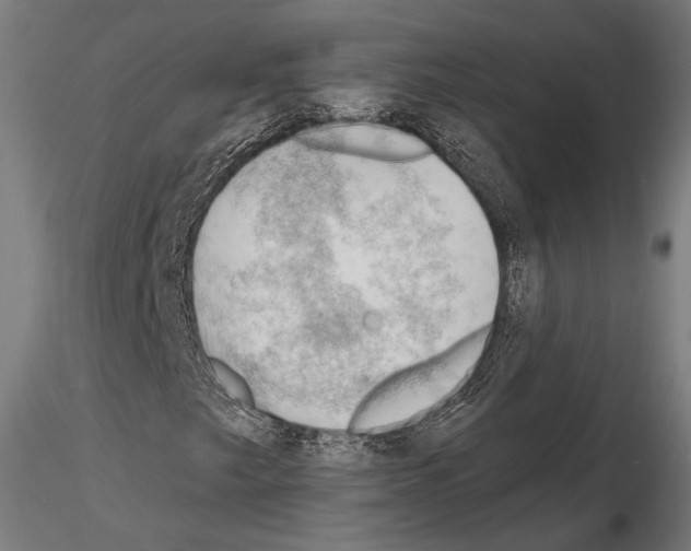 X0000114631249200912011017