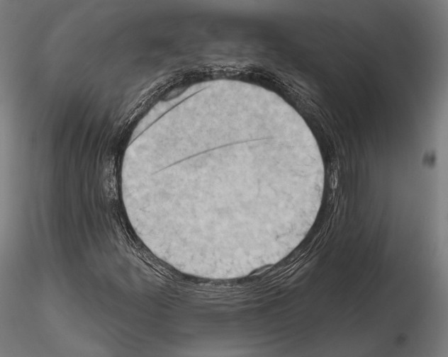 X0000114631252200912011016