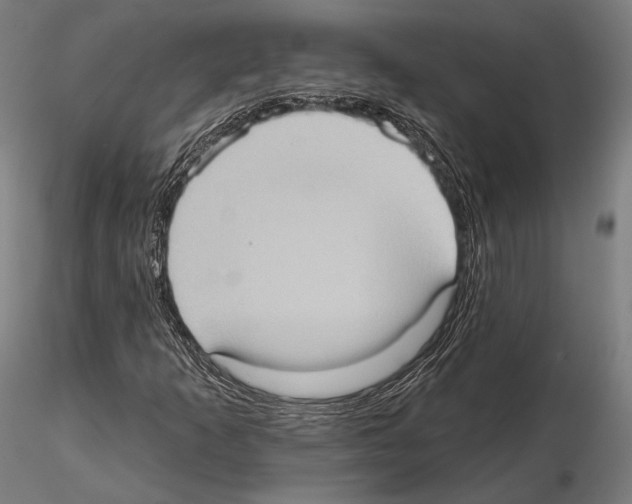 X0000114631253200912011016