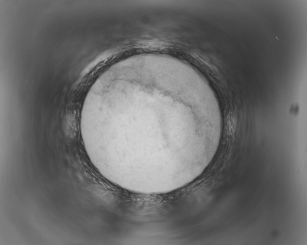 X0000114631254200912011016