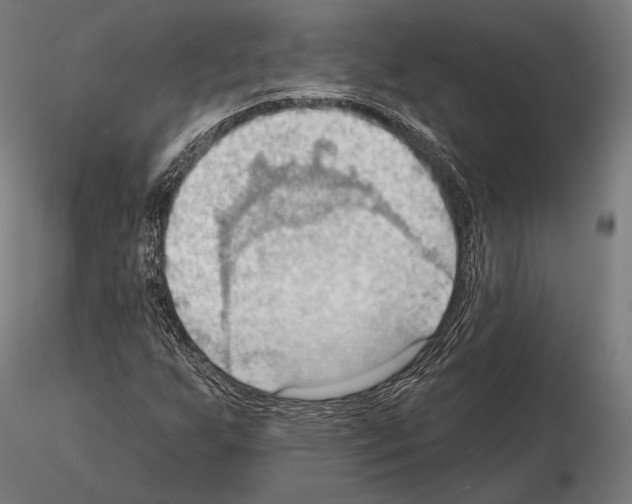 X0000114631255200912011016