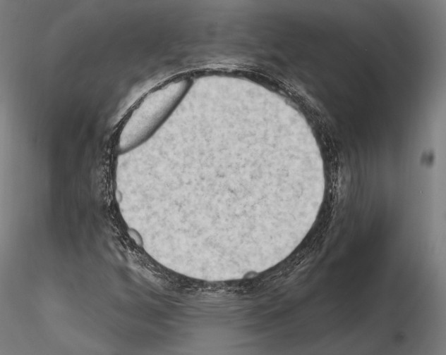 X0000114631256200912011016