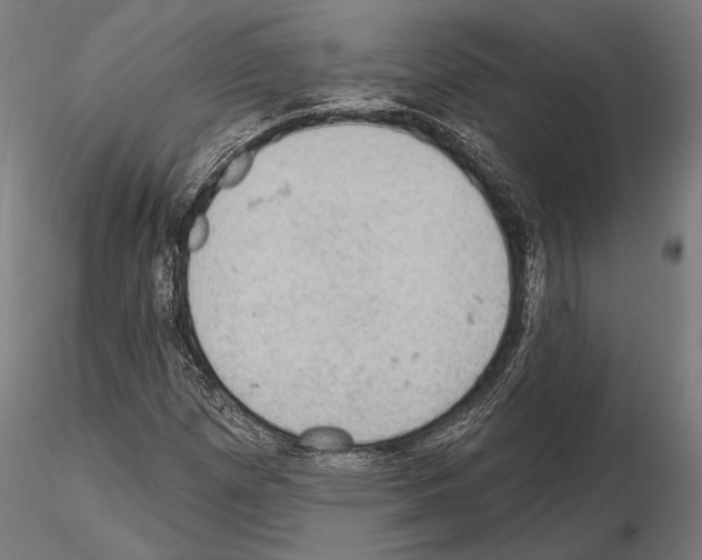 X0000114631257200912011016