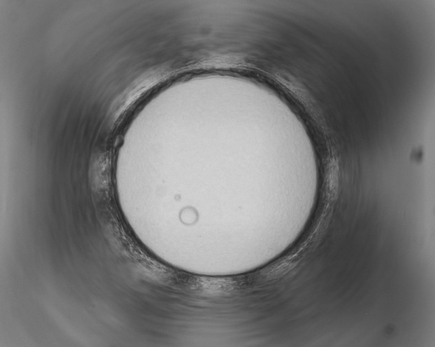 X0000114631258200912011016