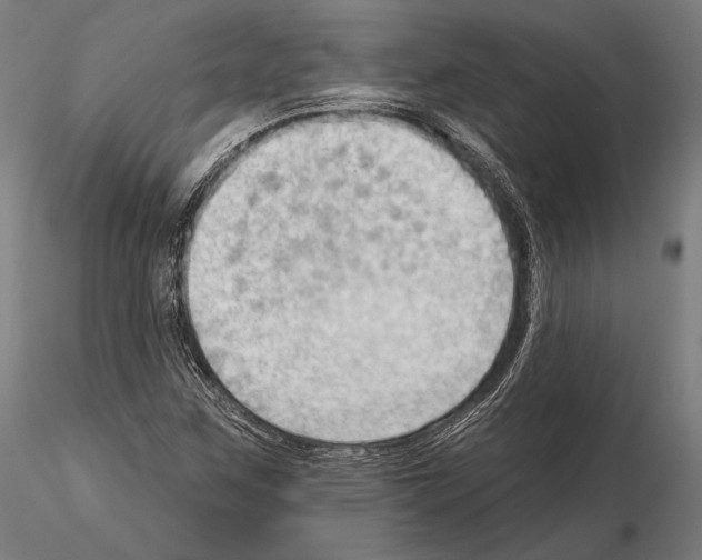 X0000114631259200912011016