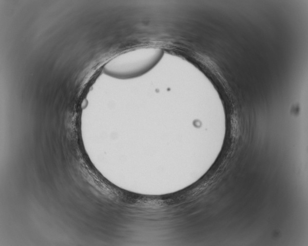 X0000114631260200912011016