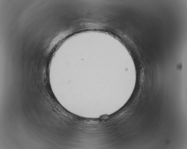 X0000114631261200912011016