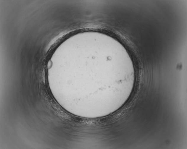 X0000114631262200912011016