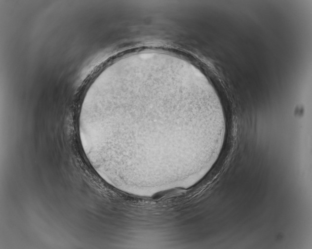 X0000114631263200912011016