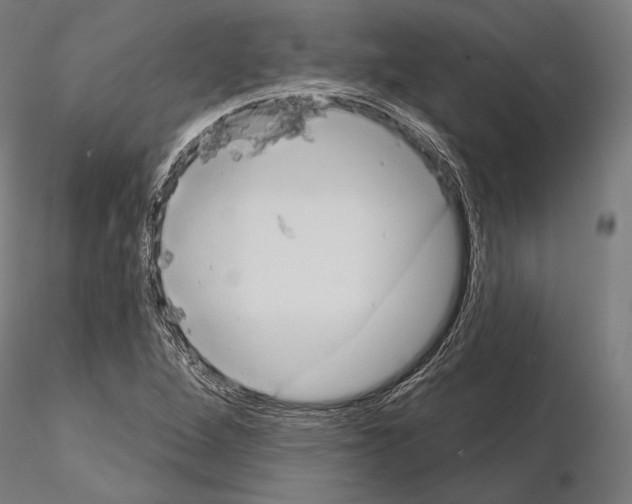 X0000114631264200912011016