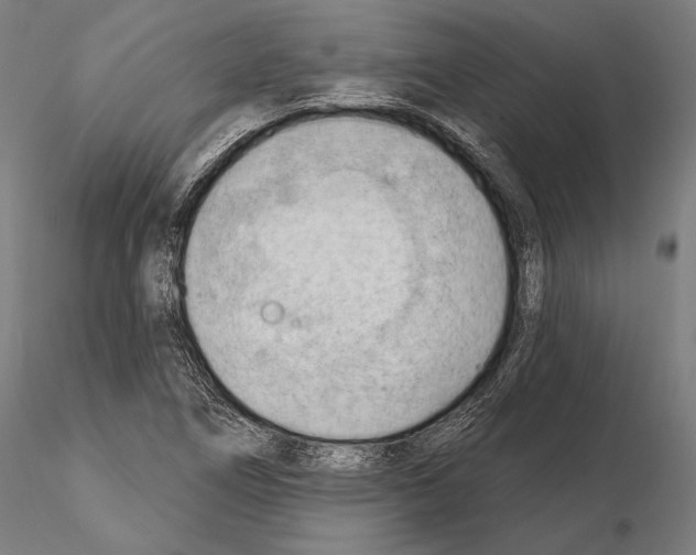 X0000114631266200912011016