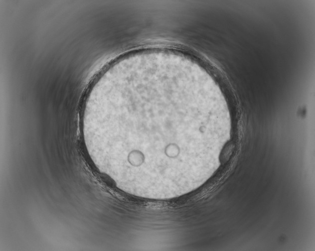 X0000114631267200912011016