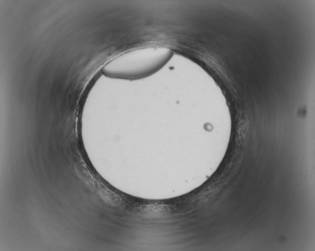 X0000114631268200912011016