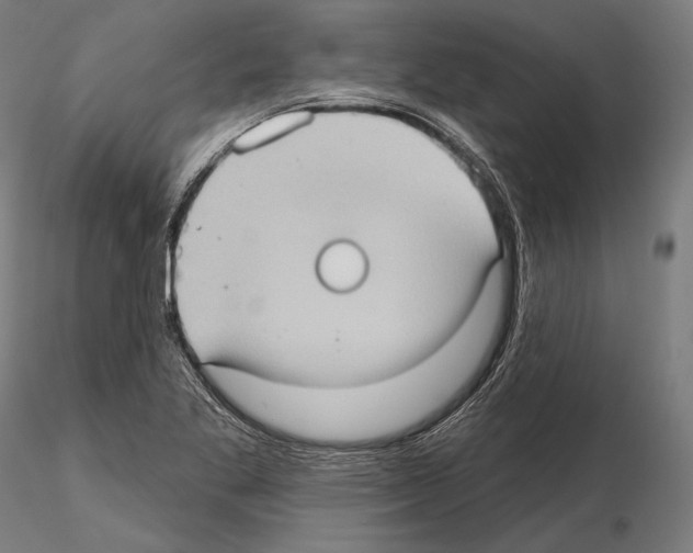 X0000114631269200912011016