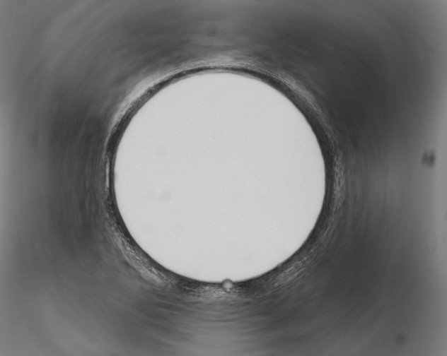 X0000114631270200912011016