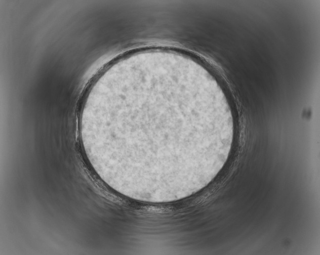 X0000114631271200912011016