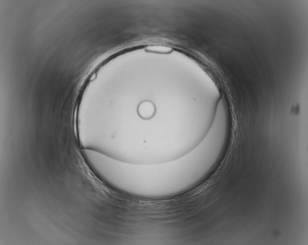 X0000114631272200912011016