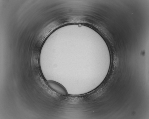 X0000114631273200912011016