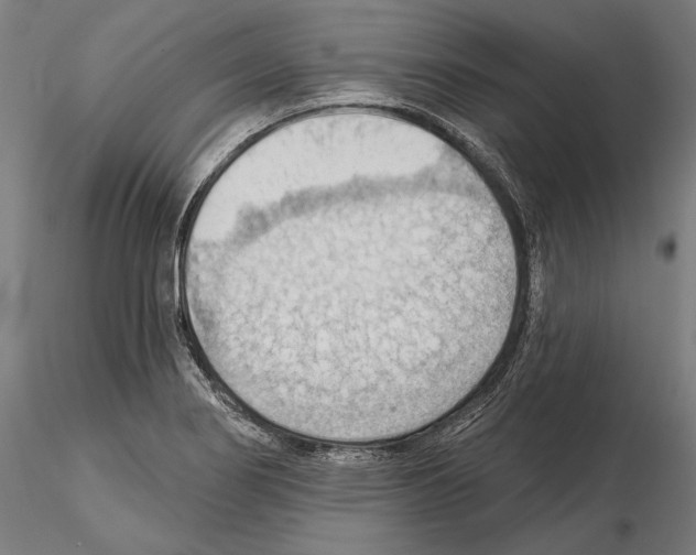 X0000114631274200912011016