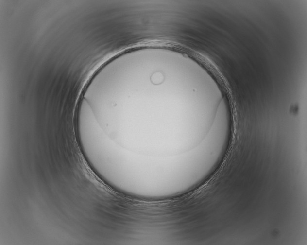 X0000114631276200912011016