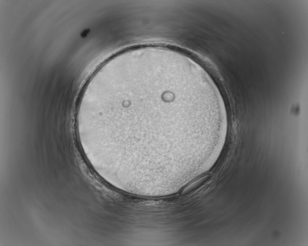 X0000114631279200912011016