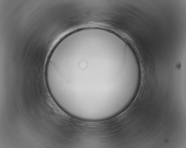 X0000114631280200912011016