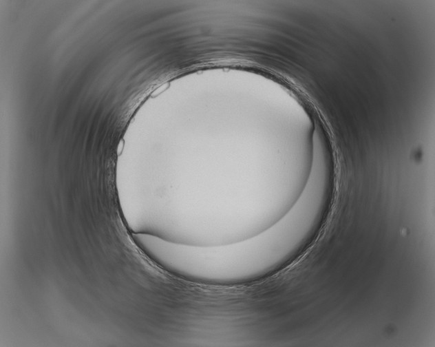 X0000114631281200912011016