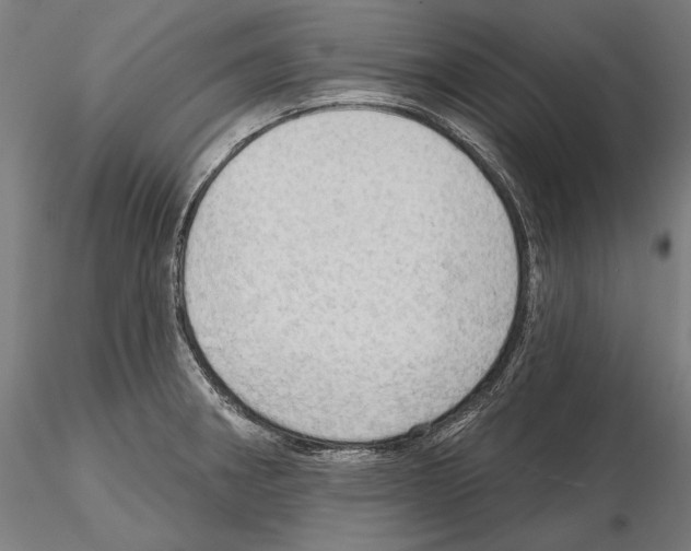 X0000114631282200912011016