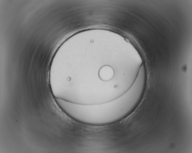 X0000114631284200912011016