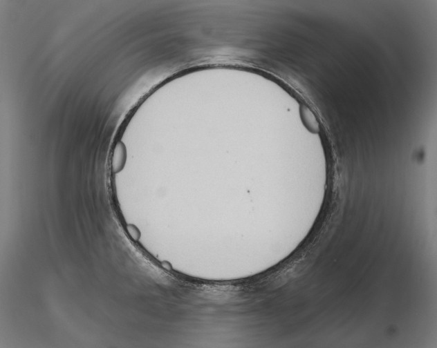 X0000114631285200912011016