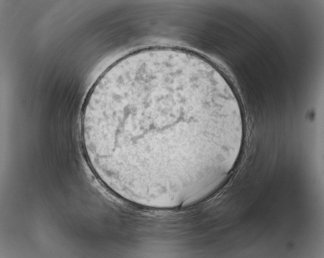 X0000114631287200912011016